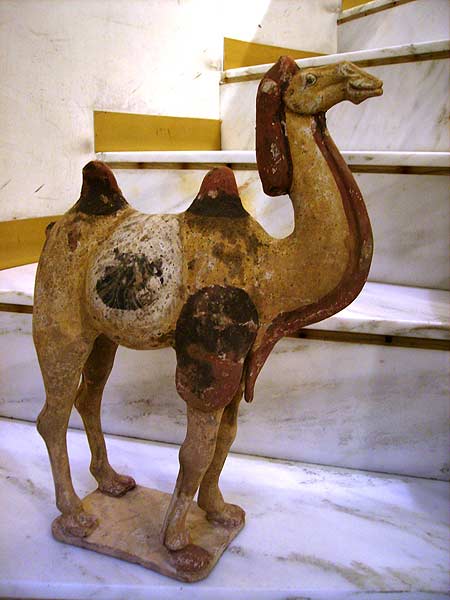 chameau debout - Chameau debout - Dynastie Tang (618 - 906) - archives